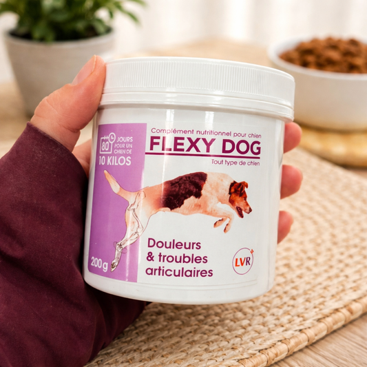 Flexy Dog 200gr
