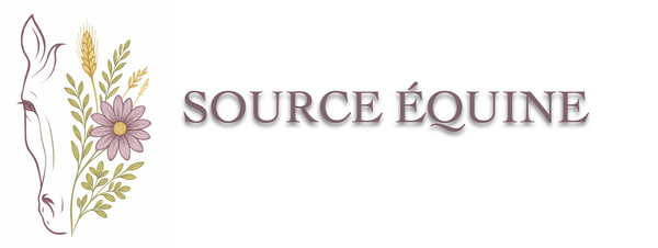 SOURCE ÉQUINE